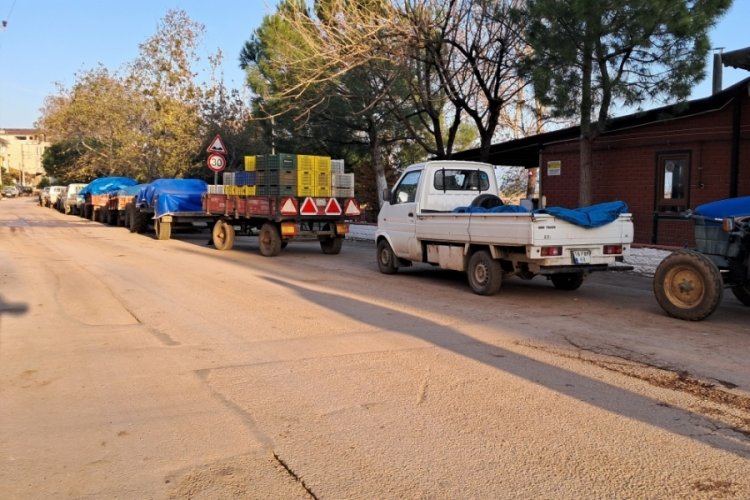Bursa'da zeytinlerini satabilmek i&ccedil;in 2 g&uuml;n sıra bekliyorlar!