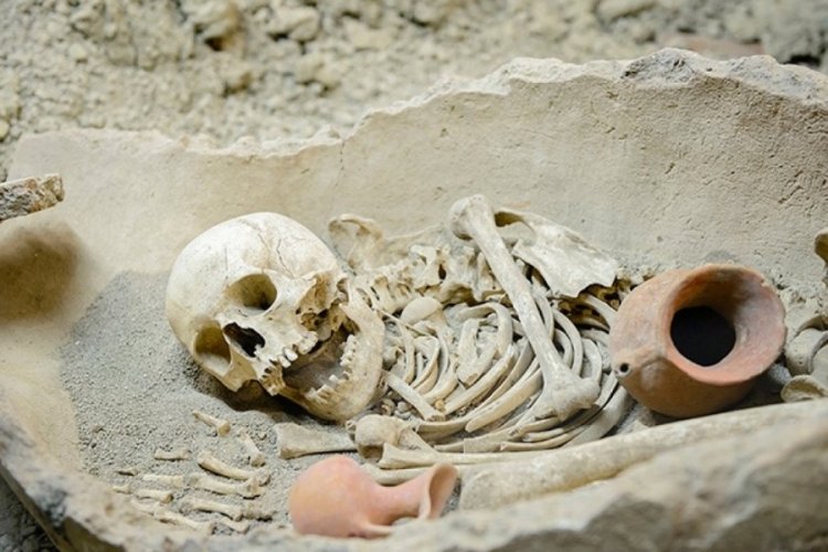 Neandertaller ve Sapiensler &ouml;l&uuml;lerini nasıl g&ouml;m&uuml;yordu?