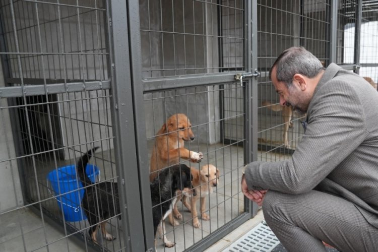 Bursa'da G&uuml;rsu'nun &ouml;d&uuml;ll&uuml; bakım merkezi bir yaşında