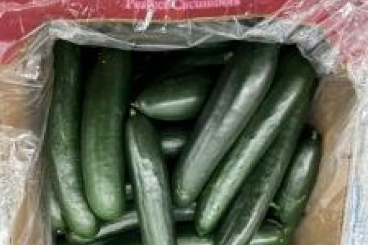 ABD'de salmonella salgını: 68 kişi hastalandı