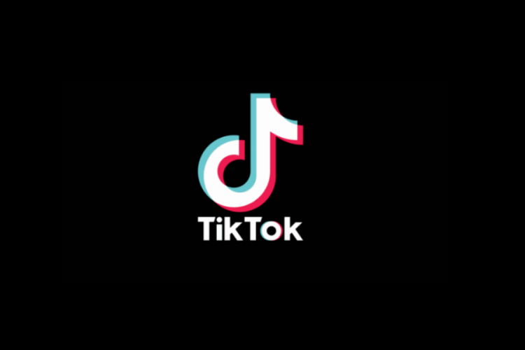 TikTok, yasaklanmasının &ouml;n&uuml;n&uuml; a&ccedil;an yasanın uygulanmasının durdurulmasını istedi