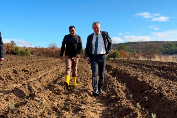 Bursa Harmancık'ta tarım arazileri tespit edilerek hububat ekimi yapılıyor