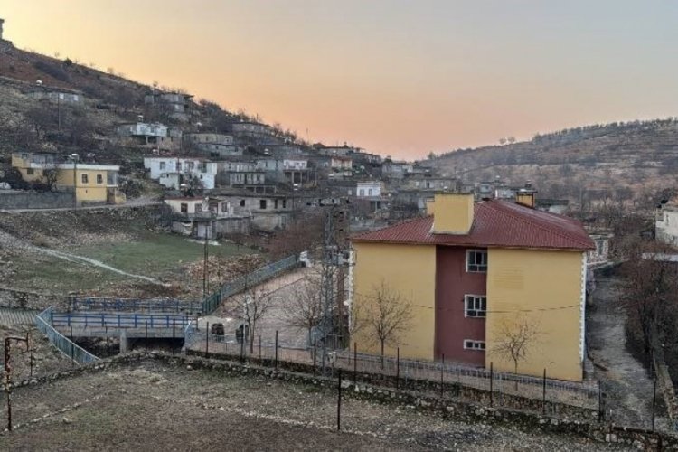 Adıyaman'da bir k&ouml;yde kuduz alarmı... Karantinaya alındı!