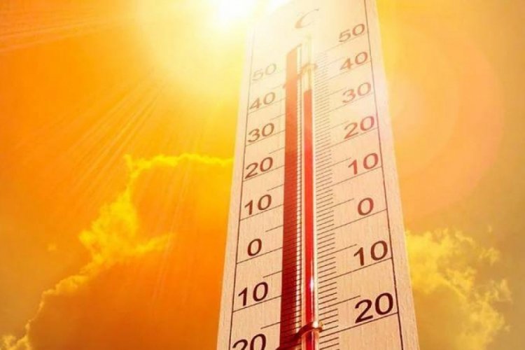 Dünya en sıcak ocak ayını yaşadı