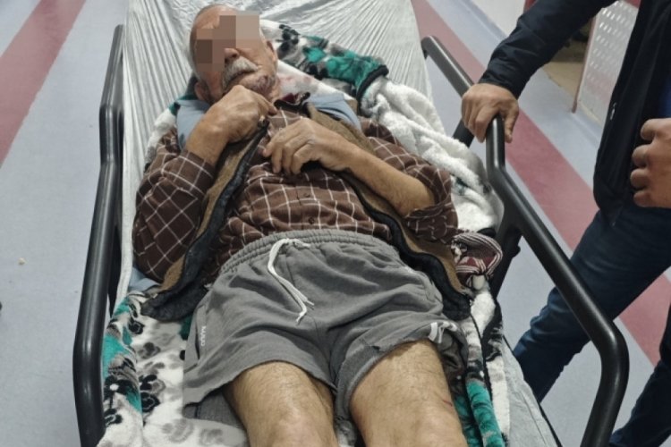 Evinin yolunu karıştıran Alzheimer hastası adam köpeklerin saldırısına uğradı