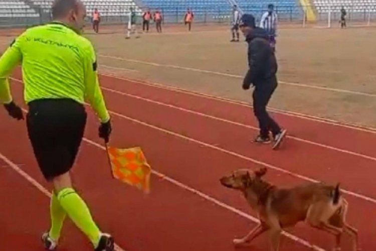 Sahaya giren köpeği yan hakem böyle çıkardı