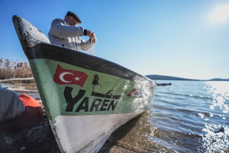 Dünyanın konuştuğu Bursalı Yaren leyleğin adı nereden geliyor?