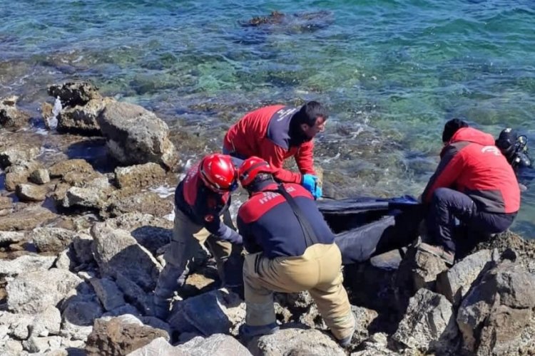 İzmir'de otomobil denize düştü: Sürücüsü hayatını kaybetti!