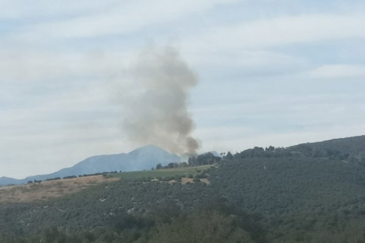 Kahramanmaraş'ta ormanlık alanda yangın!