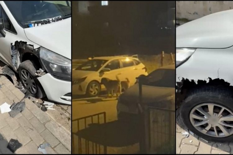 Başıboş köpekler 2 otomobili parçaladı