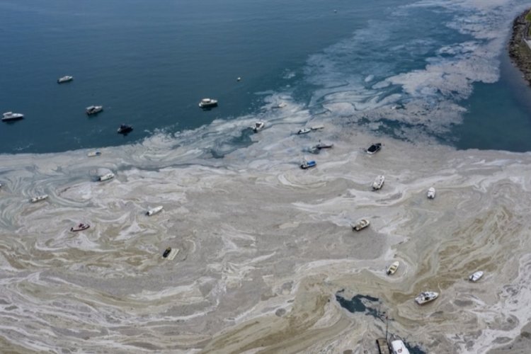 Marmara Denizi'nde müsilaj afeti devam ediyor!