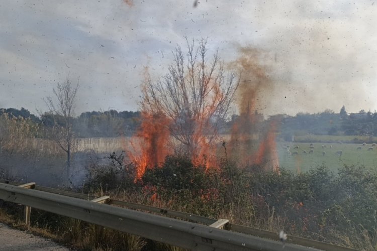 Araçtan atılan sigara yangına neden oldu