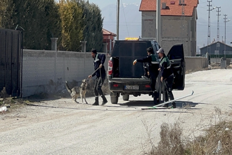 Rana'nın Adli Tıp raporu çıktı