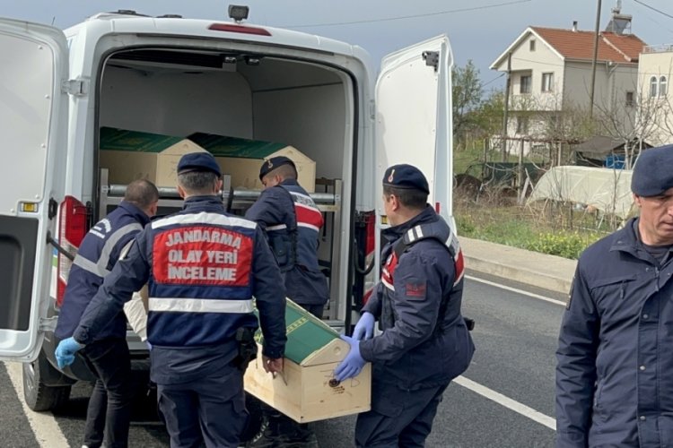 Otomobilin çarptığı yaya hayatını kaybetti