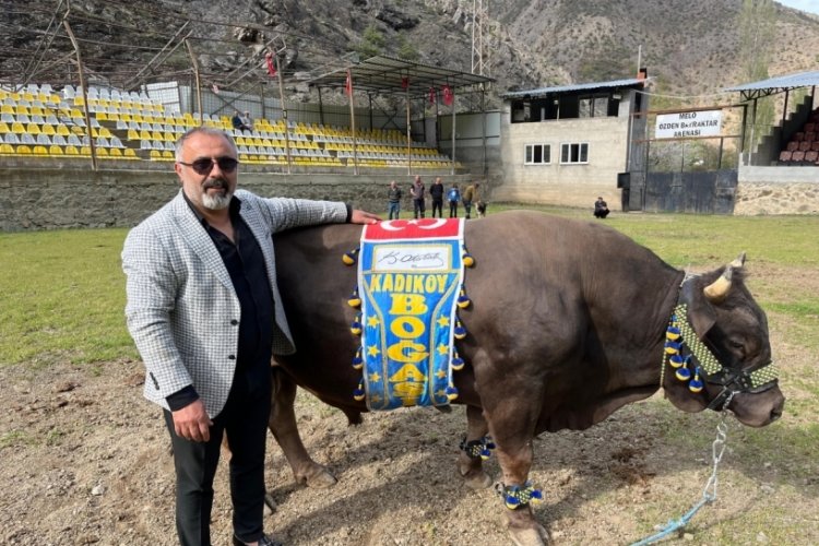Fenerbahçe taraftarından Ali Koç'a boğalı destek