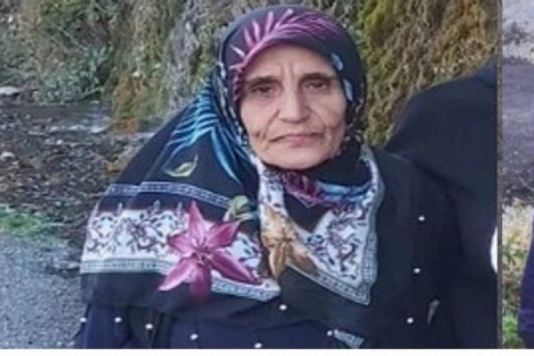 60 yaşındaki kadın kayboldu, arama çalışmaları sürüyor