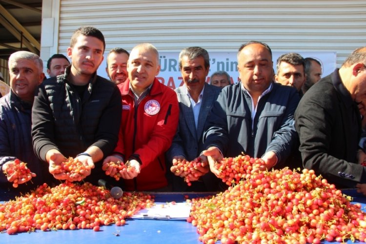 İlk kirazın kilosu 3 bin 500 TL'den satıldı