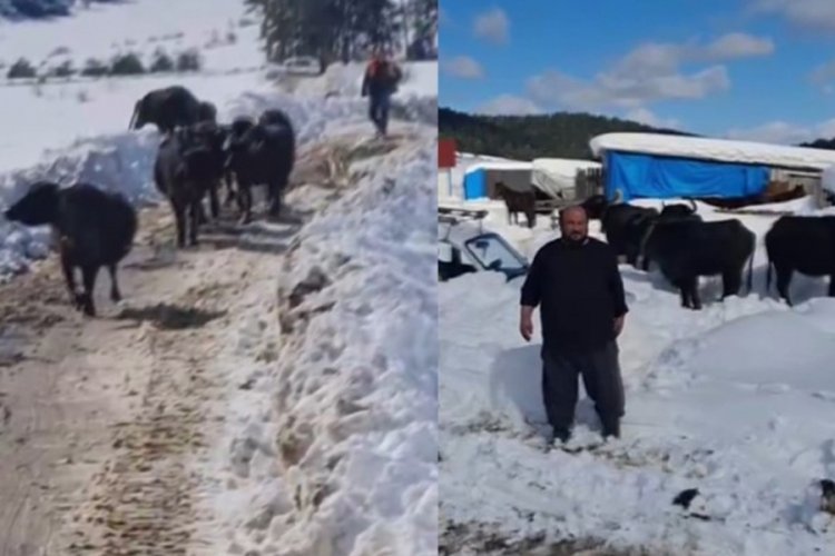 Hayvanları ile yaylada mahsur kaldı; 3 gün sonra kurtarıldı