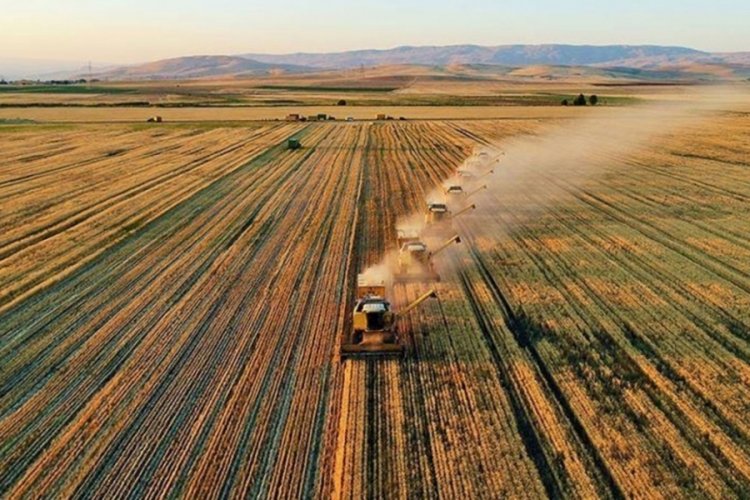 Tarım ÜFE kasımdan beri ilk kez arttı