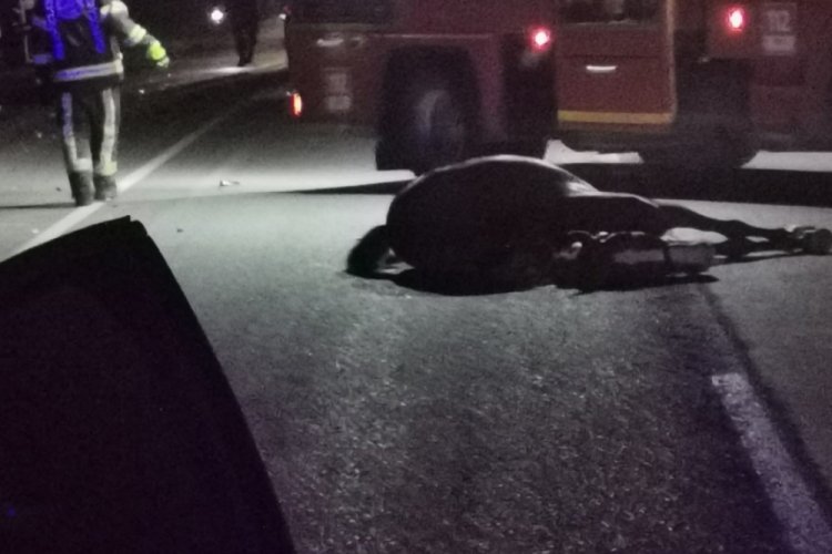 Ata çarpan otomobil takla atarak hurdaya döndü: 1 ölü 1 yaralı