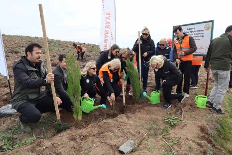 Busader Hatıra Ormanı'na İlk Fidanlar dikildi