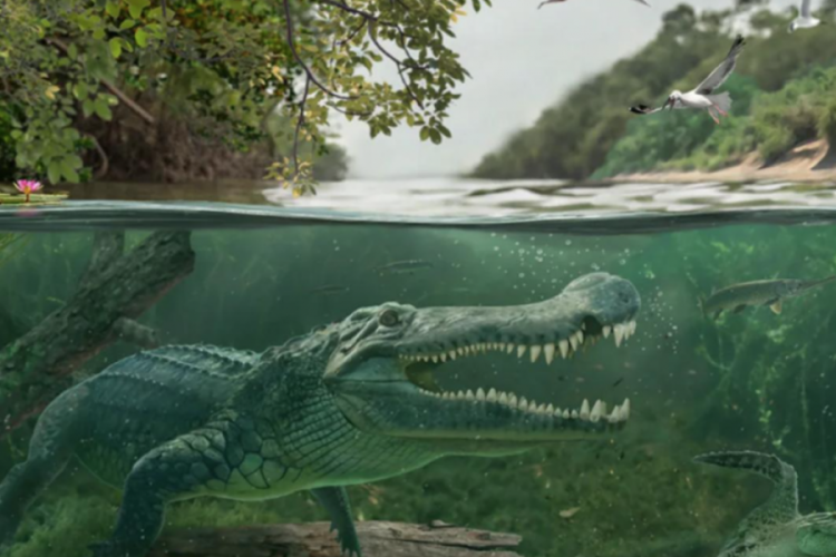 Dinozorları yiyen dev antik timsahların sırrı çözüldü