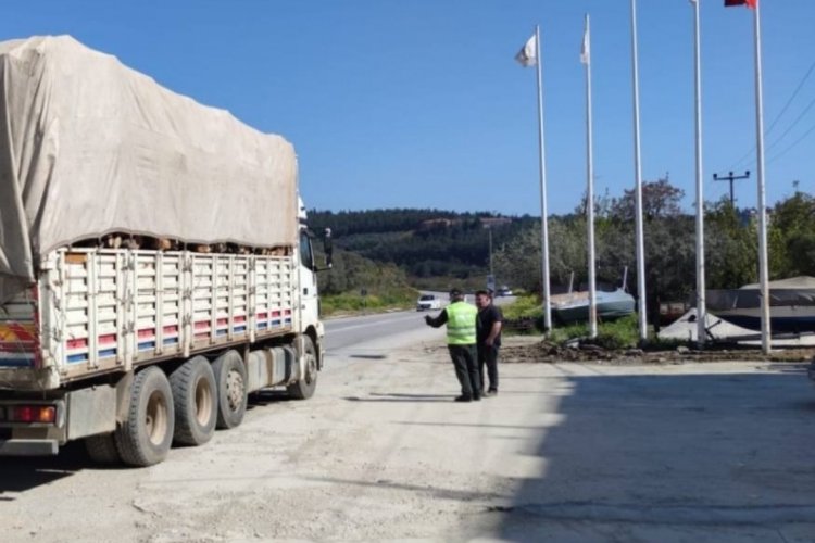 Bursa'da orman Kaçakçılığına karşı eş zamanlı denetim!