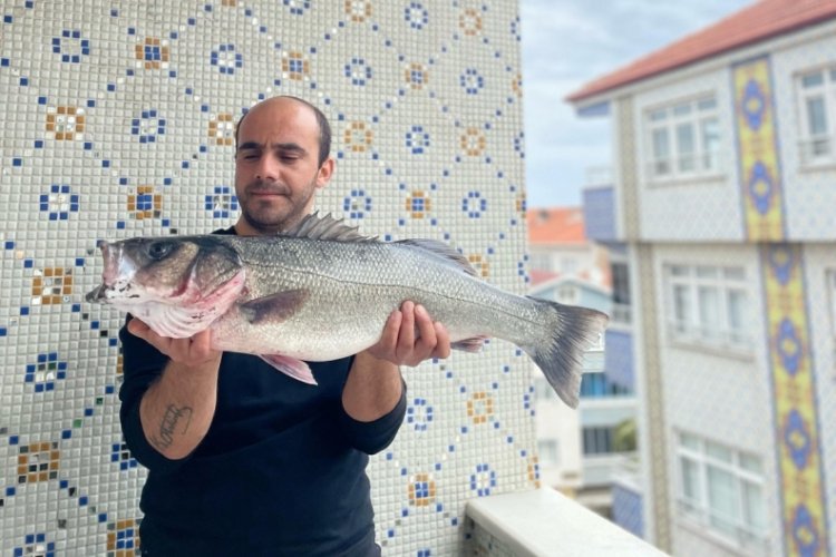 1 metre boyunda 7,5 kilo ağırlığında! Oltayla 20 dakikada yakaladı