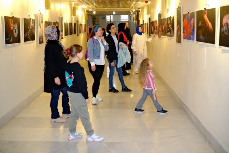 Bursa'da "Emeğin Elleri" fotoğraf sergisi açıldı