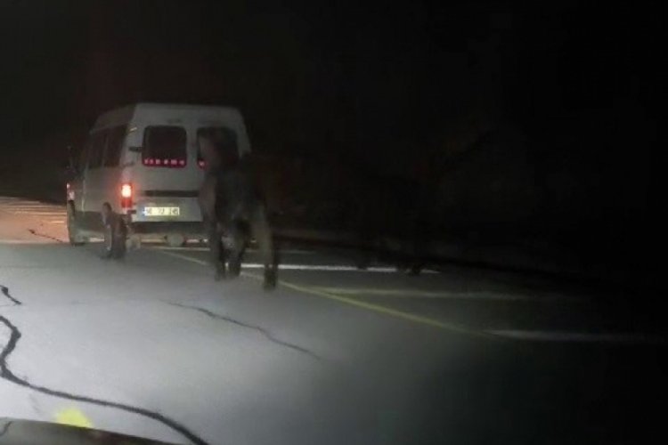 Tepki çeken görüntü: Arkasına bağlayıp koşturdu