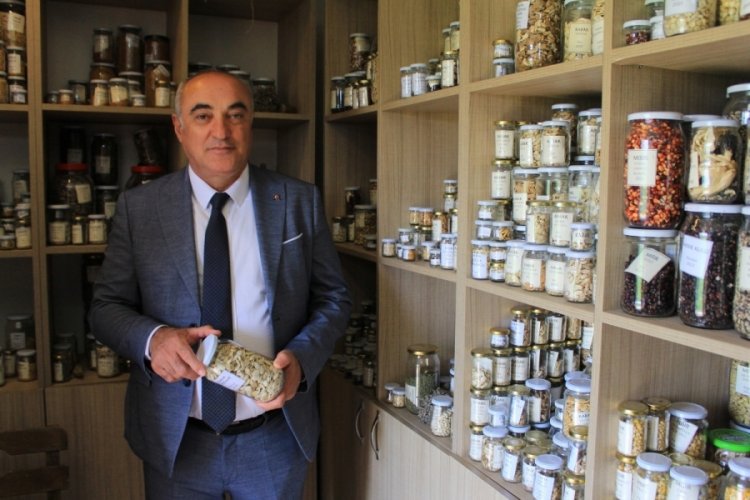 Nilüfer Belediyesinin de öncülerinden olduğu yerel tohum akımı büyüyor