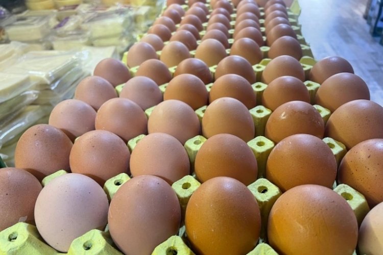 Yumurtayı hafife almayın! Bakın nasıl işe yarıyor