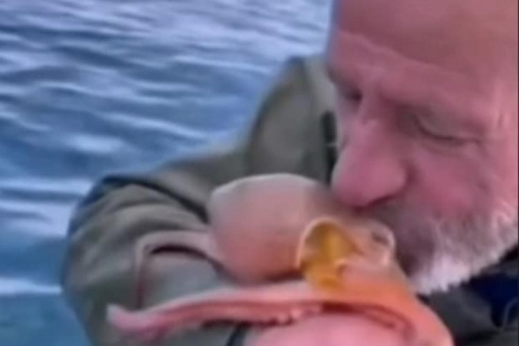 Yakaladığı ahtapotu öpüp sevdi, denize bıraktı