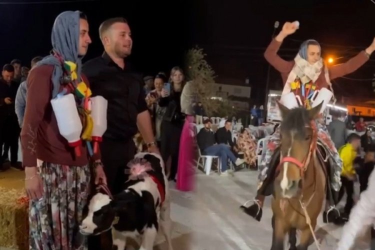 Düğünde buzağı sürprizi! Takı yerine damada verilen hediyeler şaşkına çevirdi