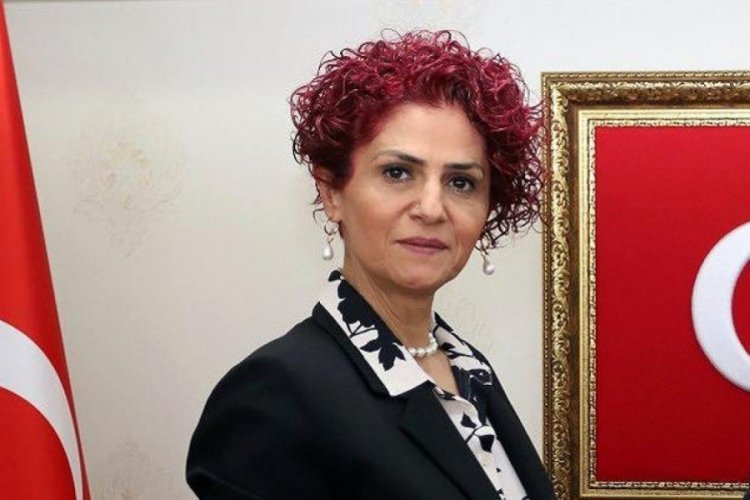 MED-FED Başkanı Özüpak: Telef oluyoruz