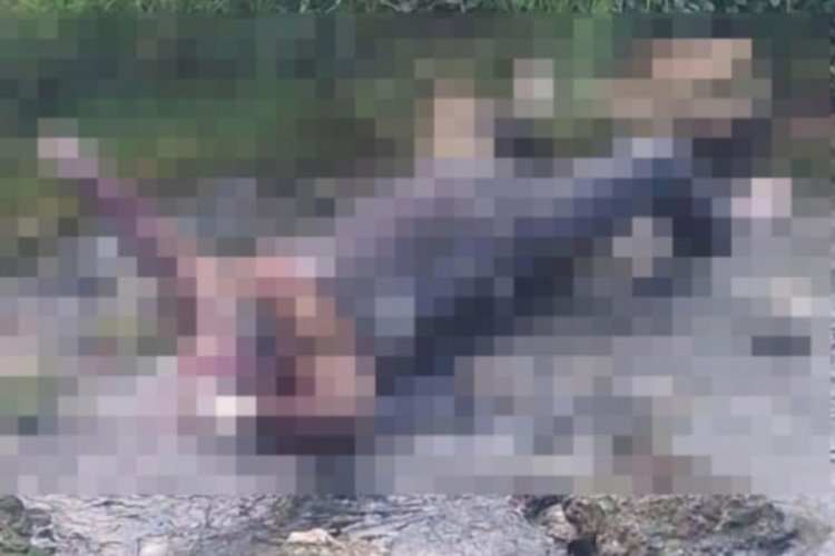 Cezaevinden izinli çıkmıştı cesedi derede bulundu...
