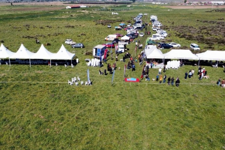 Bursa'da av köpeklerinin göz dolduran performansı!
