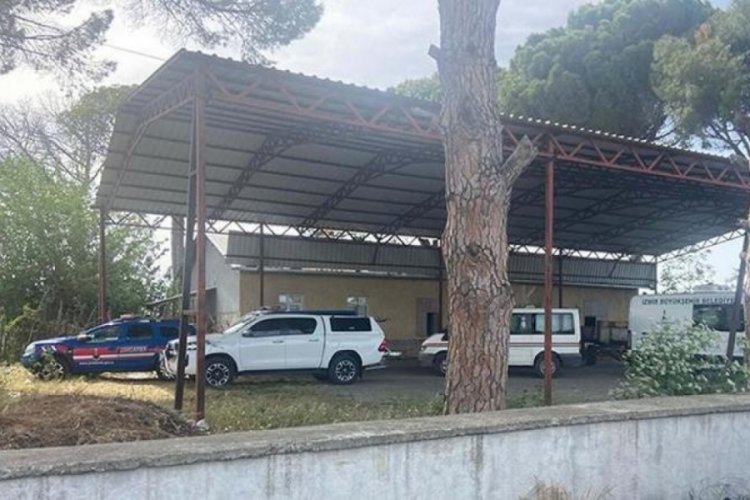 Korkunç! Ağaca asılı halde bulundular... 8 ay önce eşi de...