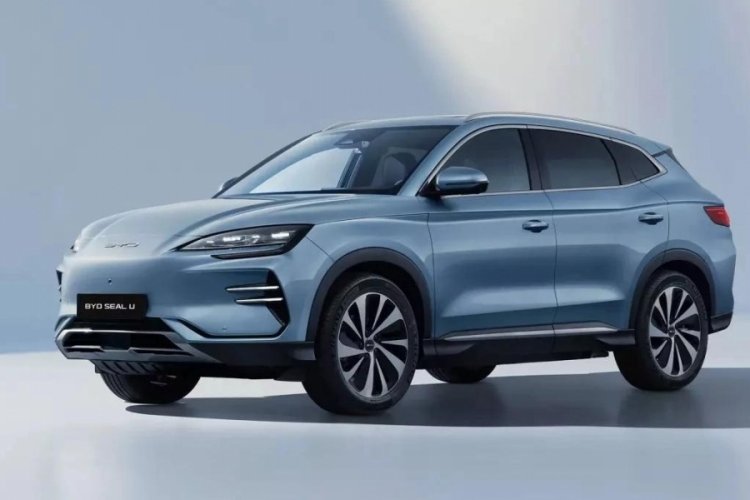 BYD dev yatırımdan çekildi! Fiyatlar düşüşe geçti