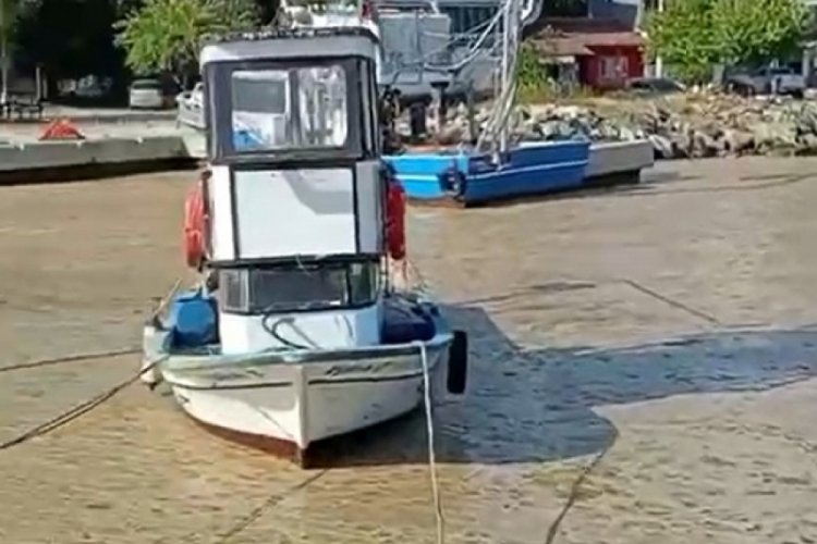 Müsilaj yeniden Marmara'da! Gemlik Körfezi'ni kapladı!