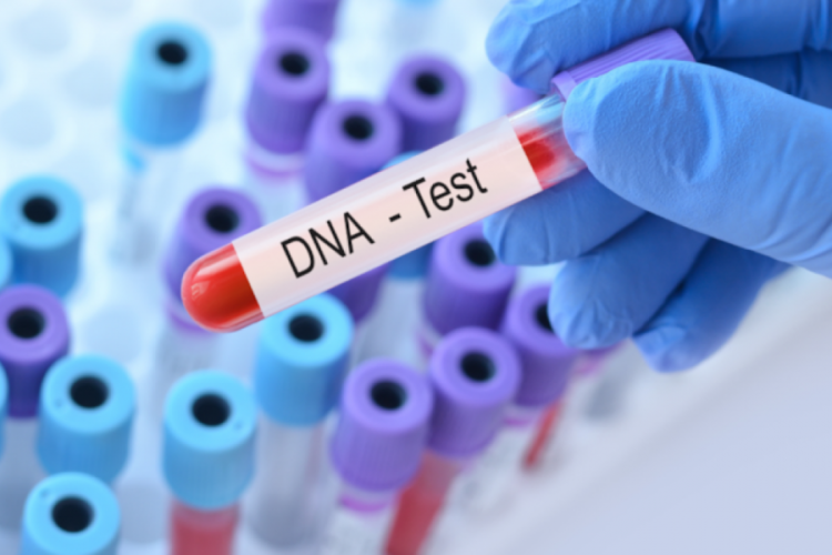 Öylesine DNA testi yaptıran kadın kocasıyla kardeş çıktı