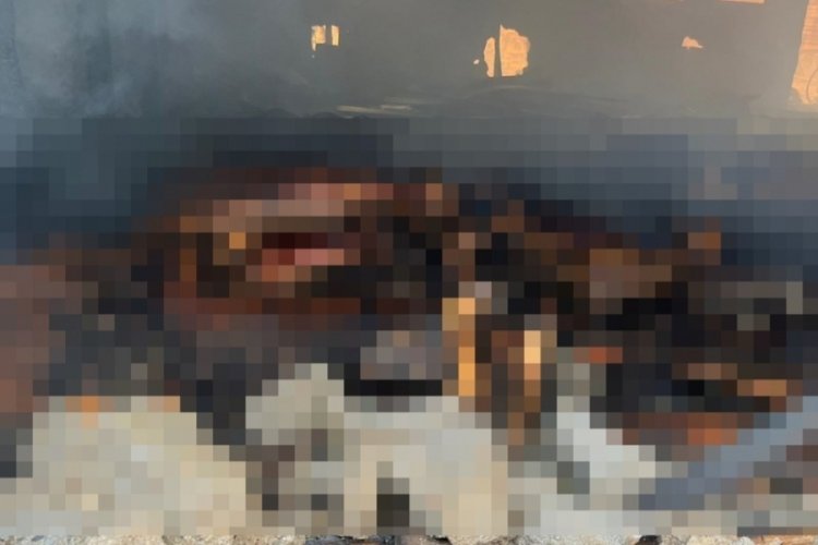 Ağılda çıkan yangında 42 küçükbaş öldü