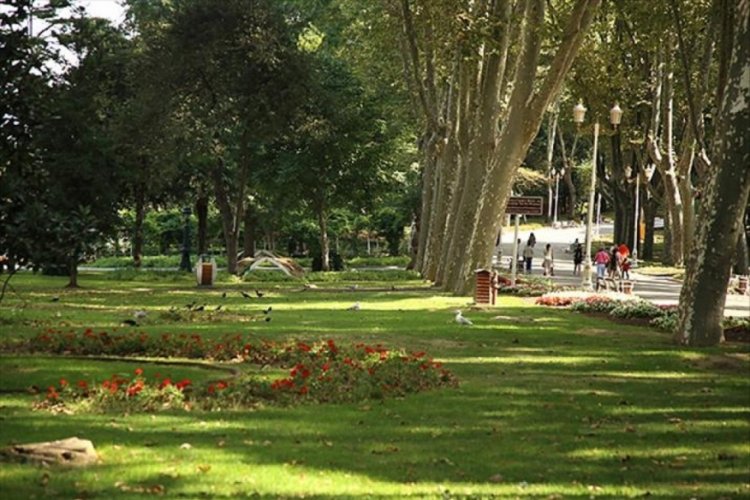 Sakın giymeyin: Bu renkler onları çekiyor!