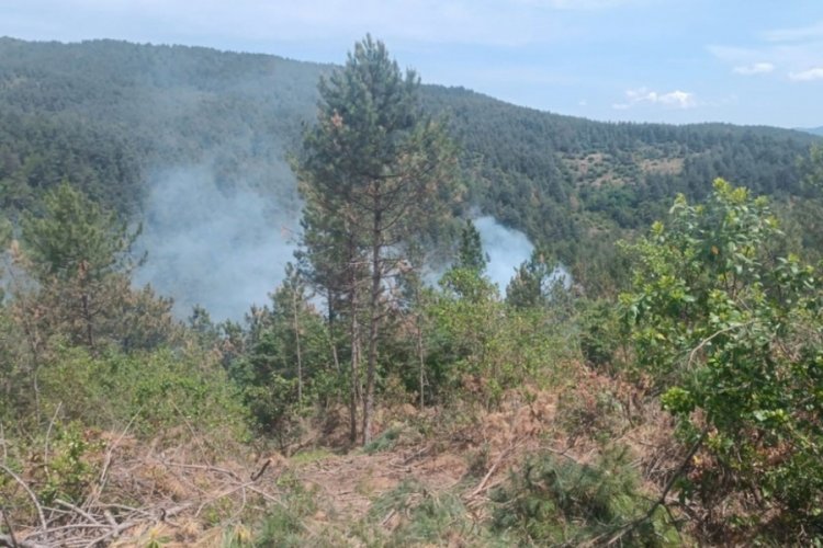 Çanakkale'de orman yangını kontrol altına alındı