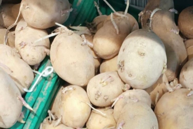 Bursa'da markette isyan ettiren manzara! Vatandaşa bunu reva gördüler...
