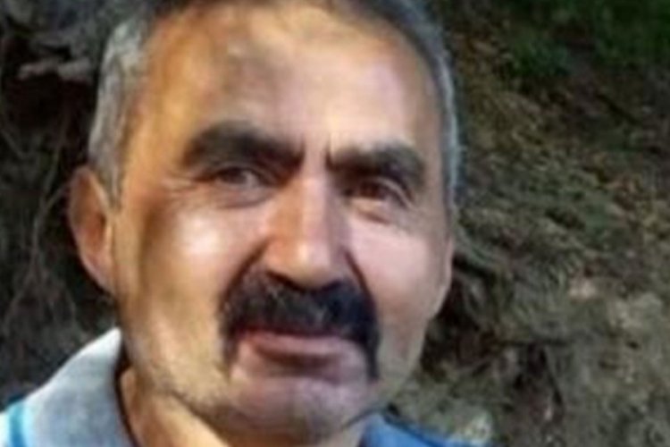 Ormanda üzerine ağaç devrilen işçi hayatını kaybetti!