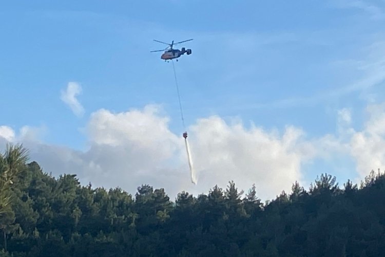 Hatay'da orman yangını
