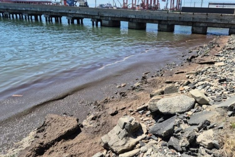 Tekirdağ kıyılarında dikkat çeken görüntü