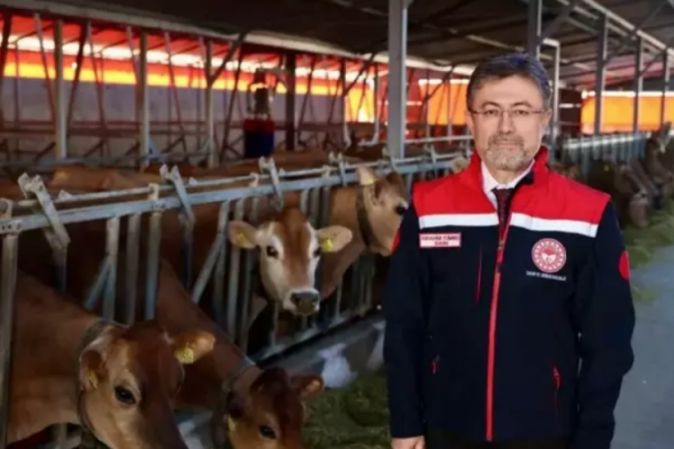 Bakan açıkladı! Türkiye'de yeterli kurbanlık var mı?