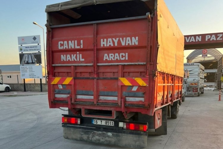 Bursa'ya gelen kurbanlıklar denetim altında!